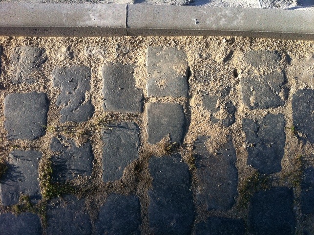 20110808-185531.jpg
