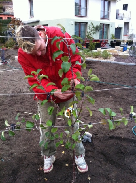 20111023-190031.jpg