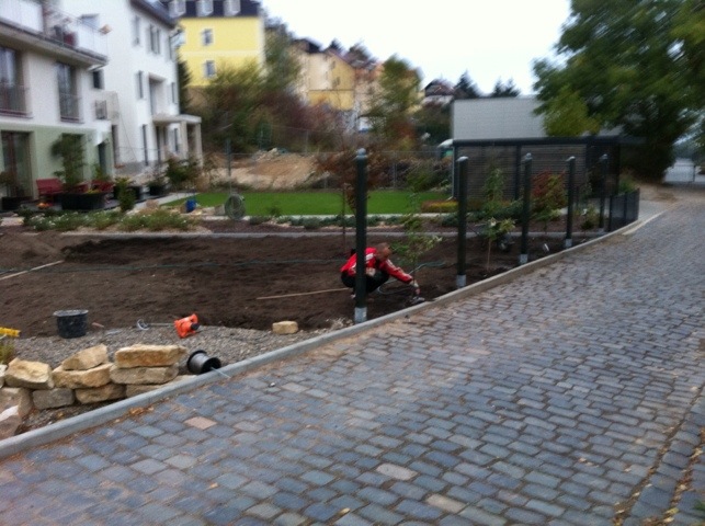 20111023-215126.jpg