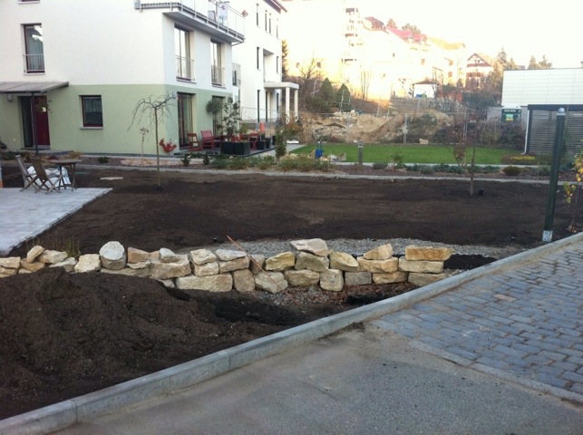 20111113-174032.jpg