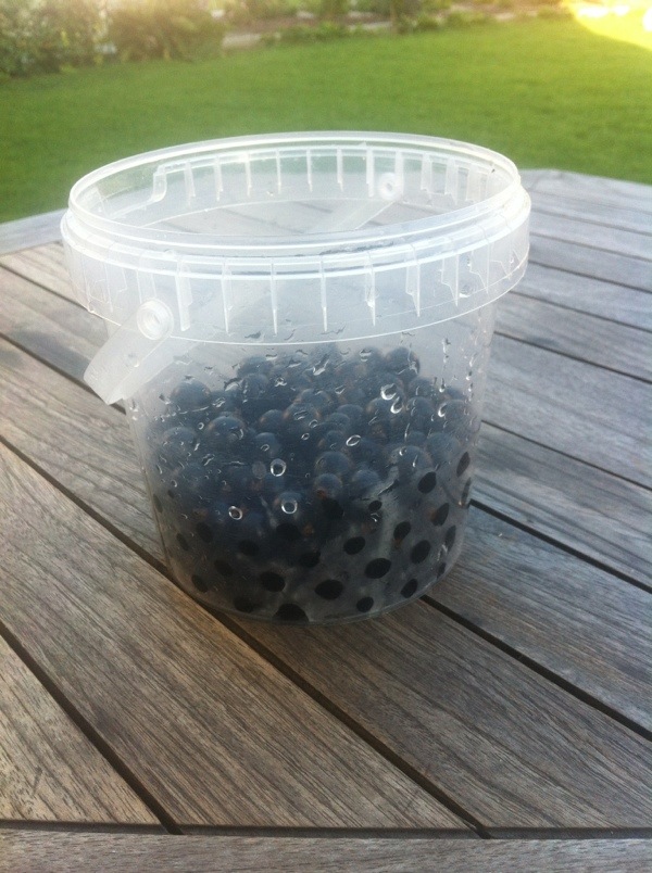 20120710-194326.jpg